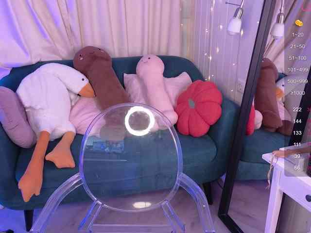 MiraFalls webcam