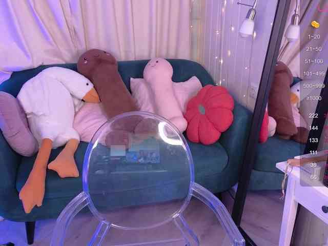 MiraFalls webcam