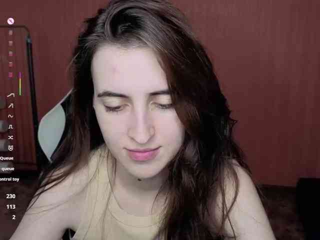 Valeritiio webcam