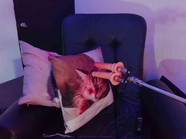 SofiiaMartinez webcam