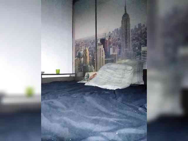 VinPyh webcam