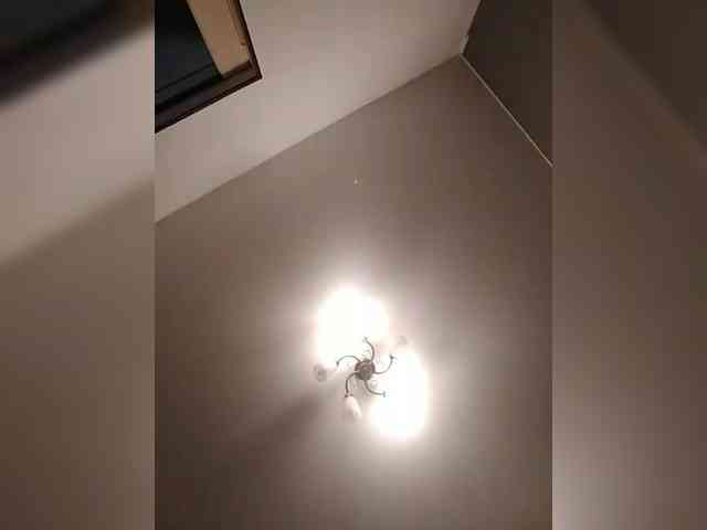 VinPyh webcam