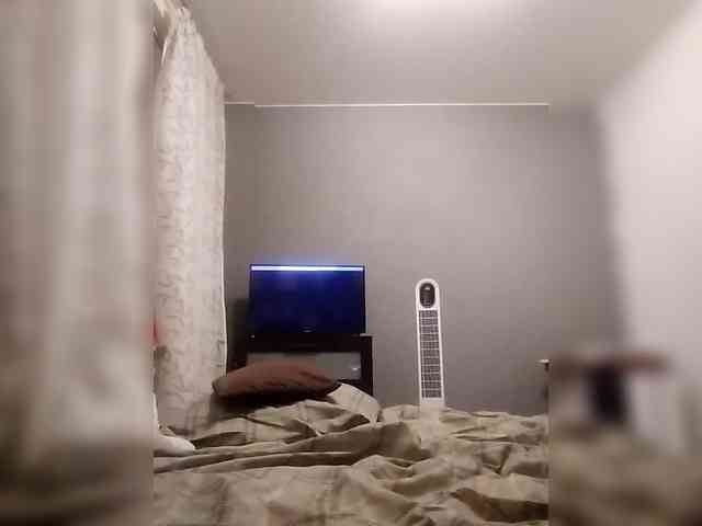 VinPyh webcam