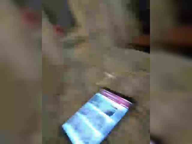 VinPyh webcam