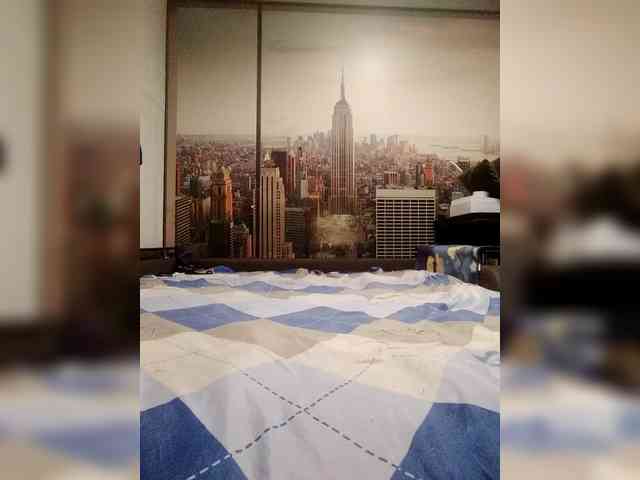 VinPyh webcam