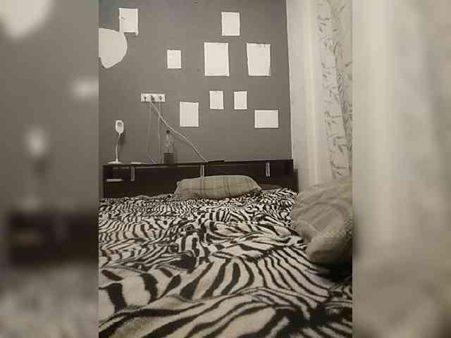VinPyh webcam