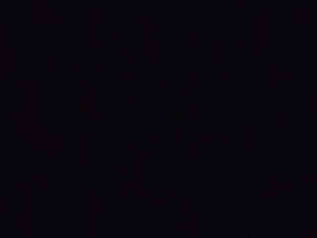 VinPyh webcam