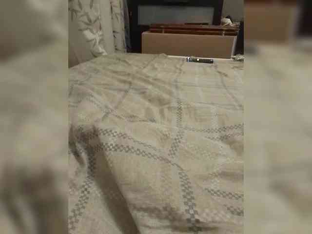 VinPyh webcam