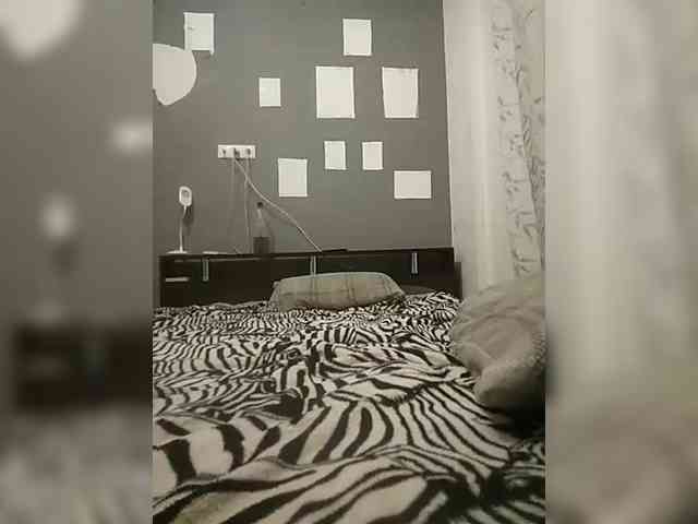 VinPyh webcam