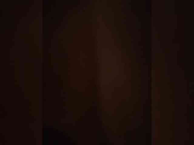 VinPyh webcam
