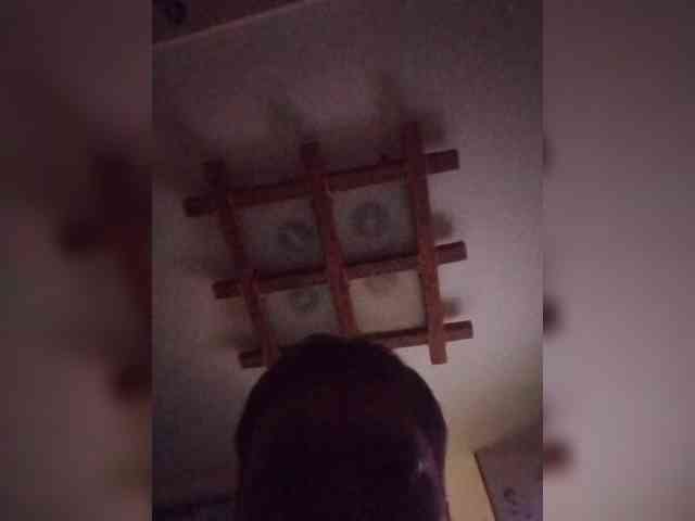 VinPyh webcam
