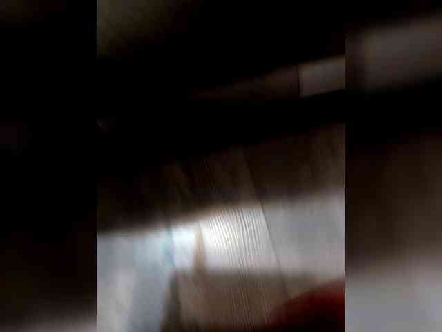 VinPyh webcam
