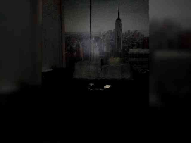 VinPyh webcam