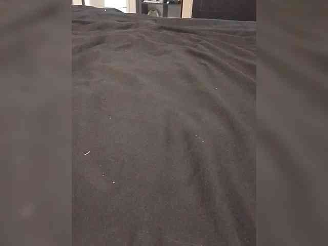 VinPyh webcam