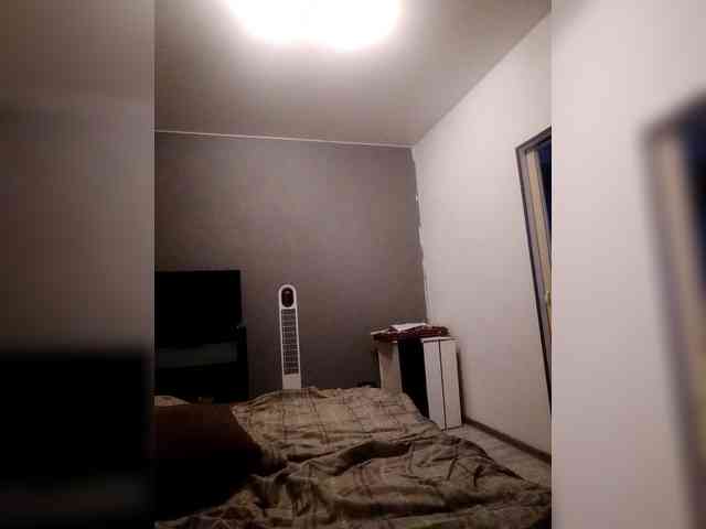VinPyh webcam