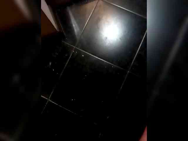 VinPyh webcam