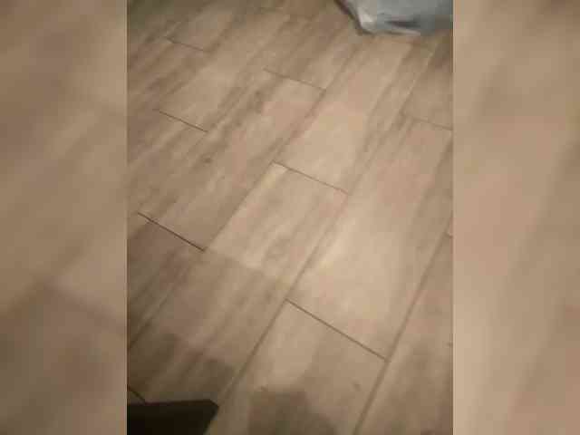 VinPyh webcam