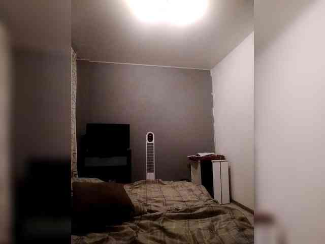 VinPyh webcam
