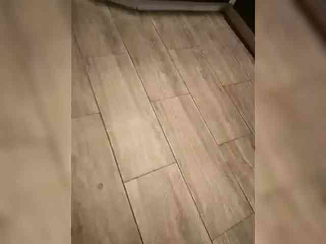 VinPyh