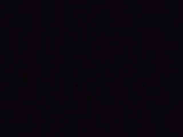 VinPyh webcam