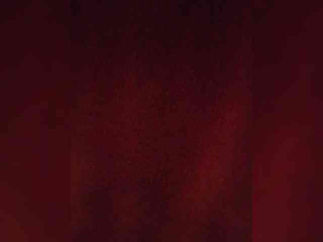 VinPyh webcam