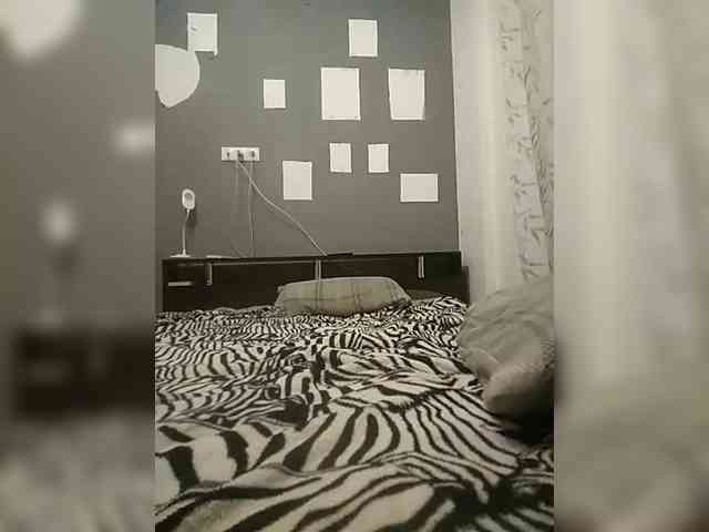VinPyh webcam