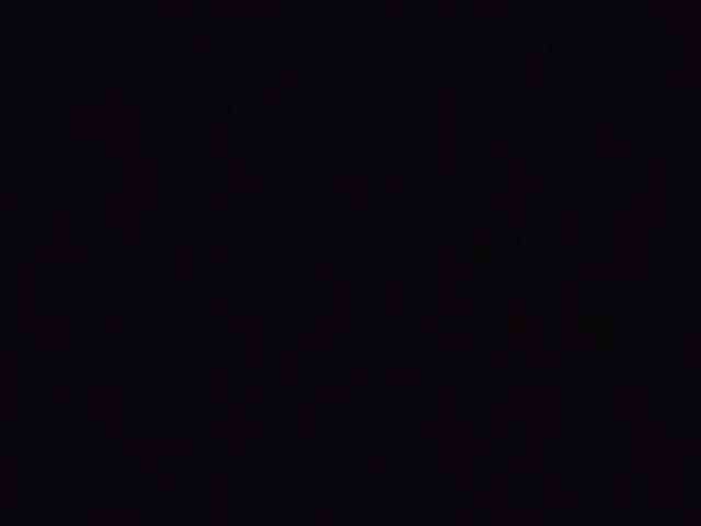 VinPyh webcam