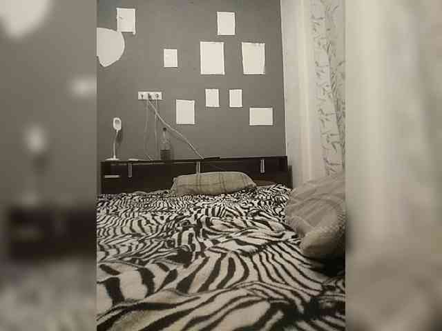 VinPyh webcam
