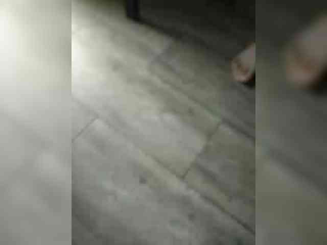 VinPyh webcam