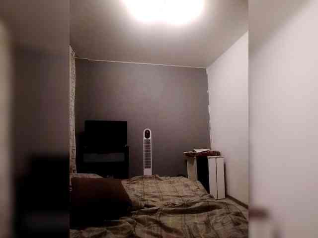 VinPyh webcam