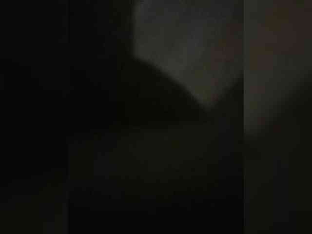 VinPyh webcam