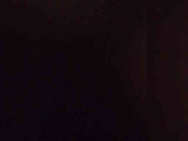 VinPyh webcam