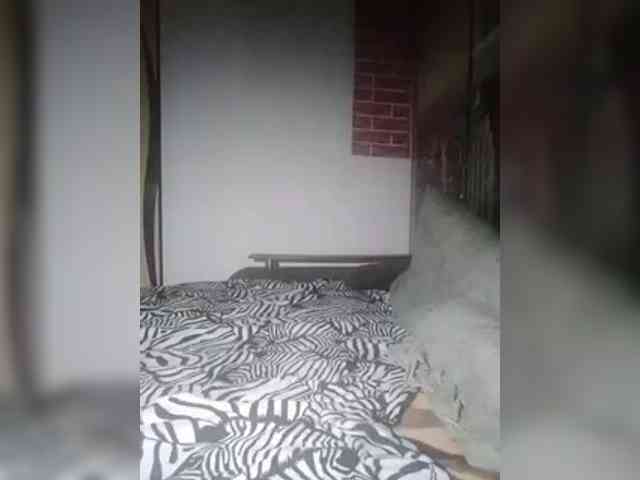 VinPyh webcam