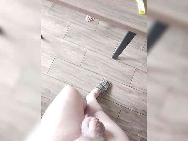 VinPyh webcam