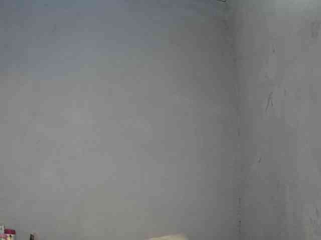 Pettite-Diofa webcam