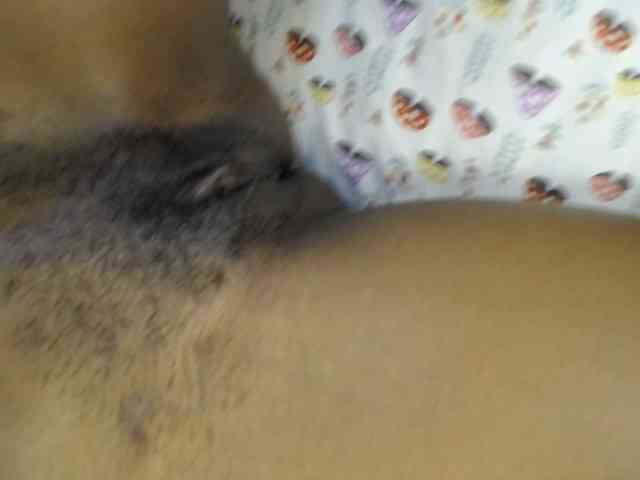 Camilafire4 webcam
