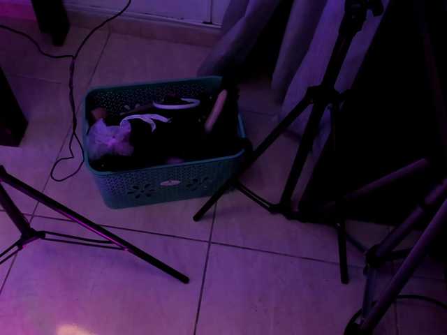 Yuliana-Demon live cam on BongaCams