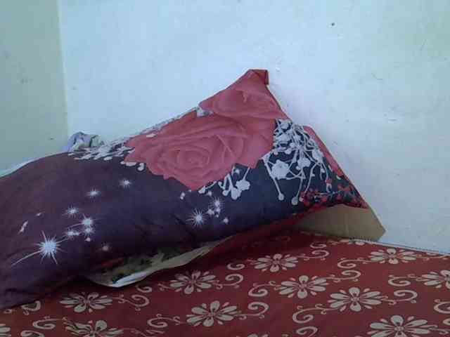 princess-scovia