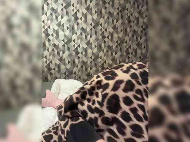 yourLi webcam