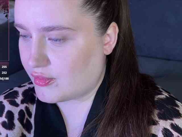 yourLi webcam