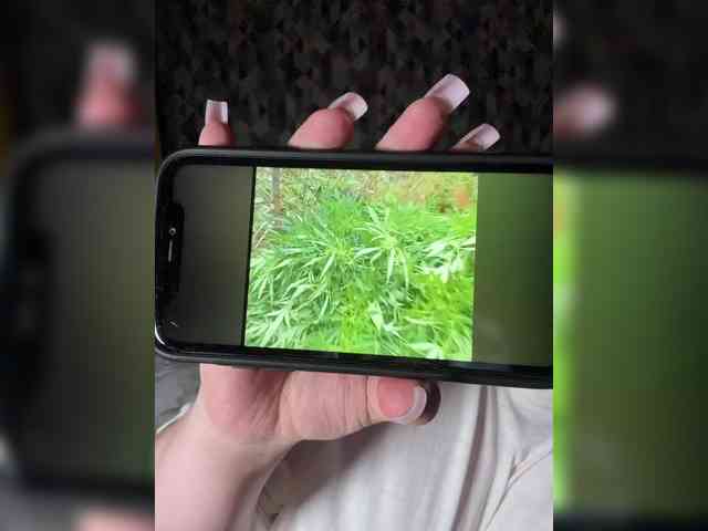 yourLi webcam