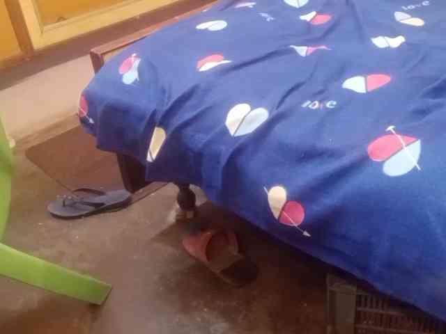 mahamaja webcam
