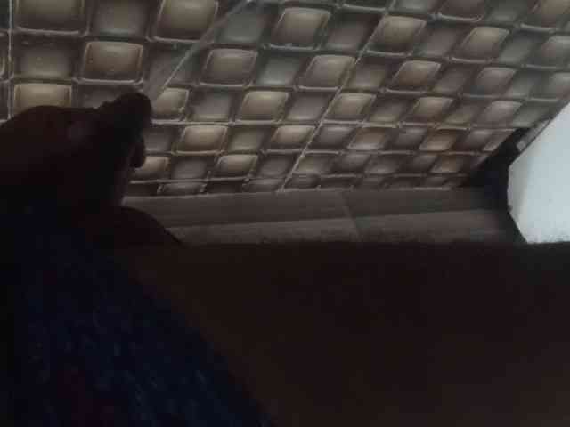 mahamaja webcam