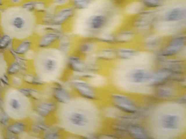 mahamaja webcam
