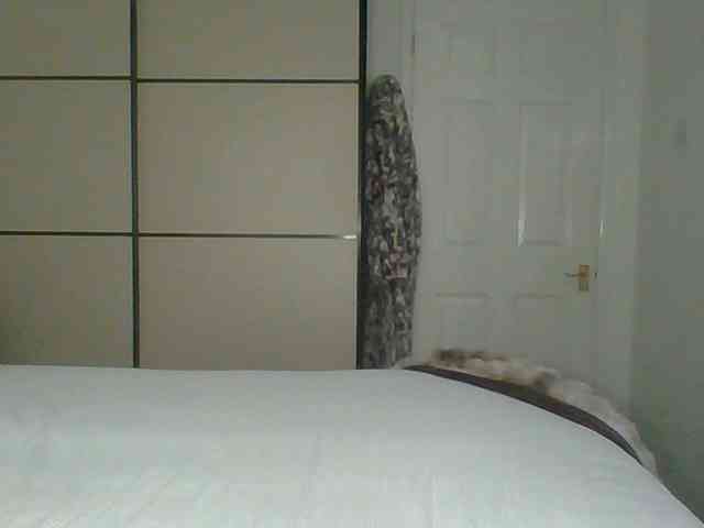GEMMARMALADE webcam