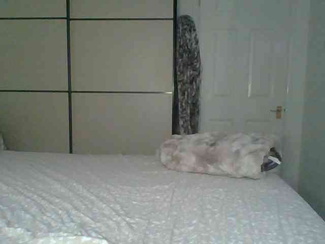 GEMMARMALADE webcam