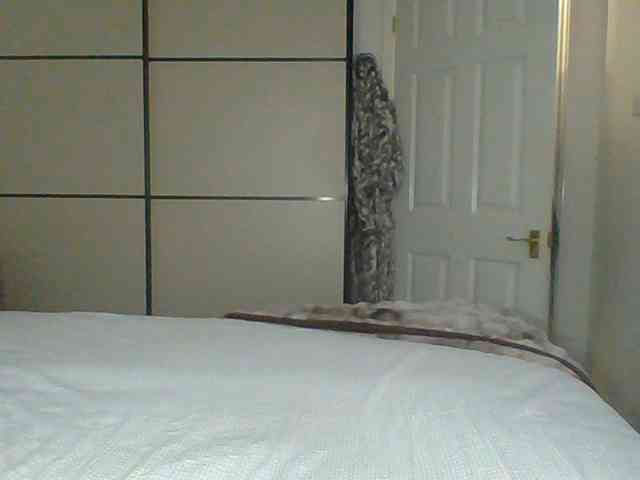 GEMMARMALADE webcam