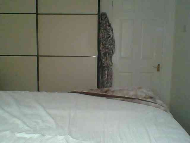 GEMMARMALADE webcam