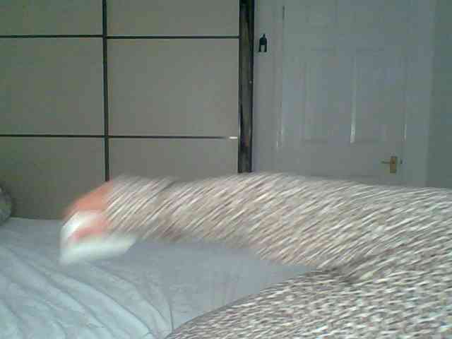 GEMMARMALADE webcam