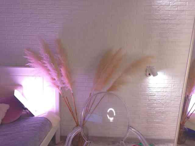 CrazyWine webcam